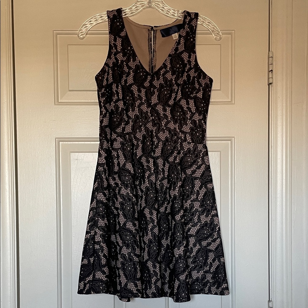 Francesca's Collections Black and Cream Lace Mini Dress